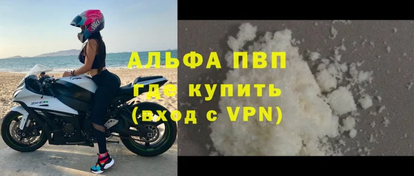 мяу мяу мука Иннополис