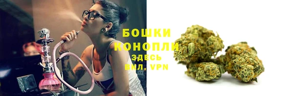 стафф Инта