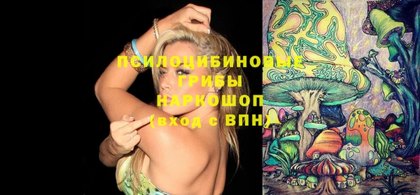 стафф Инта
