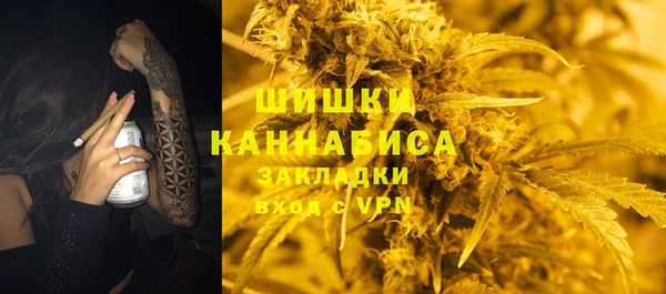 мяу мяу мука Иннополис