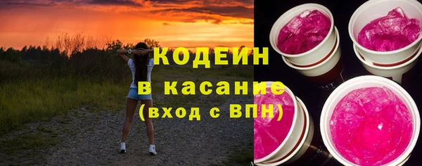 мяу мяу мука Иннополис