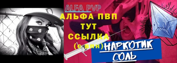 мяу мяу мука Иннополис