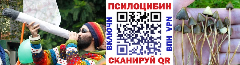 Псилоцибиновые грибы MAGIC MUSHROOMS  Купить  Белокуриха 